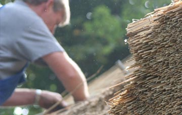 professional Vidlin thatchers